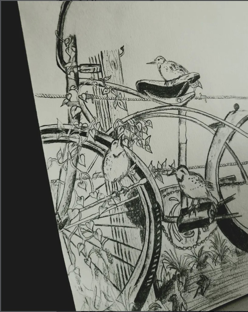 Pencil drawing of small birds perched on an old vine-wrapped bicycle